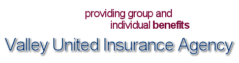 Vally United Insurance